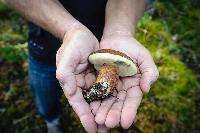 Redrib Cottage Locals Experience - What Travelers Are Saying