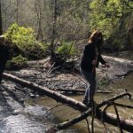 Redwoods Forest Bathing - The Guided Experience: Knowledge and Personalization