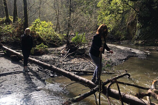 Redwoods Forest Bathing - The Guided Experience: Knowledge and Personalization