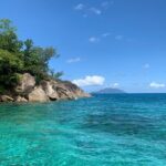 Reef Safari - Snorkeling, Fish Feeding & Lunch (Shared Day Trip) - The Sum Up