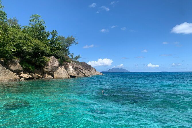 Reef Safari - Snorkeling, Fish Feeding & Lunch (Shared Day Trip) - The Sum Up