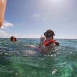 Reef Snorkel In National Park In Puerto Morelos With Lunch And Transportation - Who Is This Tour Best For?