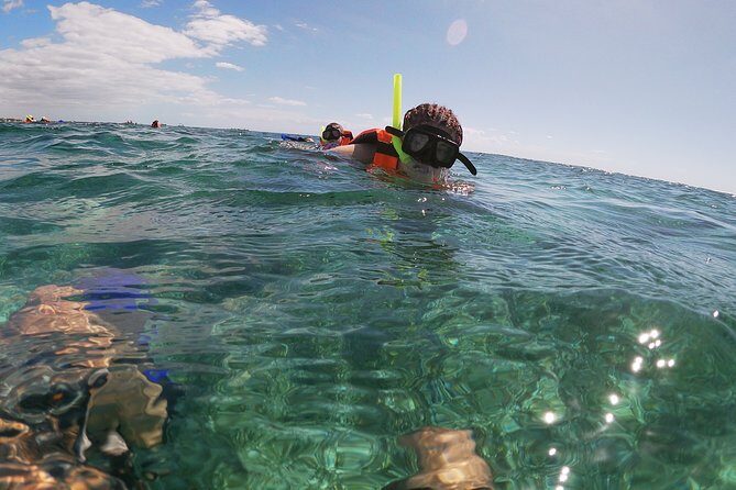 Reef Snorkeling with ATV, Zipline, Cenote that includes lunch and transportation - The Balance of Value and Experience