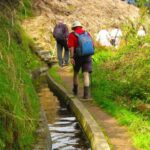 Referta / Castelejo - Levada Walk - The Value of the Tour