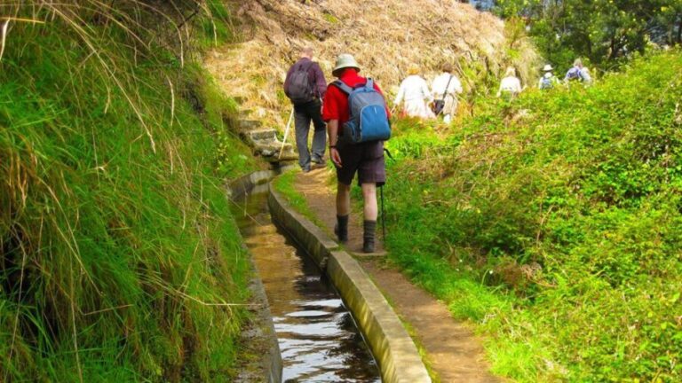 Referta / Castelejo - Levada Walk - The Value of the Tour