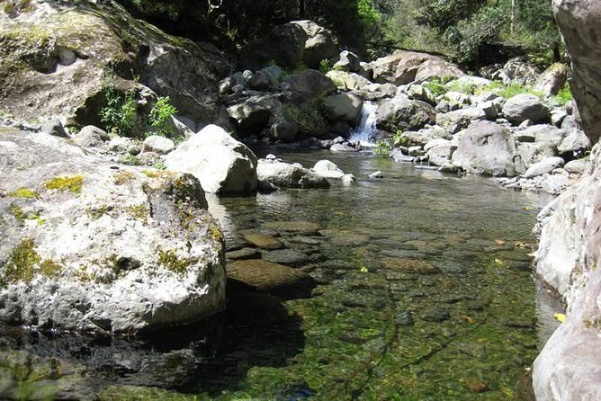 Referta Castelejo Levada Walk from Funchal - The Guide and Group Experience