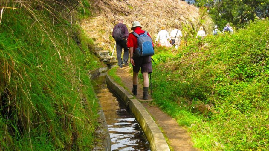 Referta / Castelejo - Levada Walk - The Value of the Tour