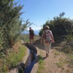 Referta levada walk: Discover Madeiras Quiet Countryside - What Travelers Say