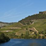 Régua to Pinhão - What Makes This Tour Special