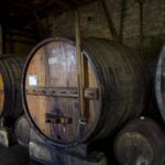 Régua: Wine tasting at a Quinta, traditional lunch, cruise, and train ride - Traditional Lunch at a Family Estate