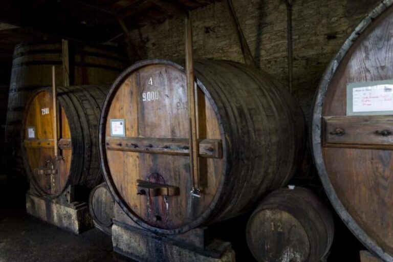 Régua: Wine tasting at a Quinta, traditional lunch, cruise, and train ride - Traditional Lunch at a Family Estate