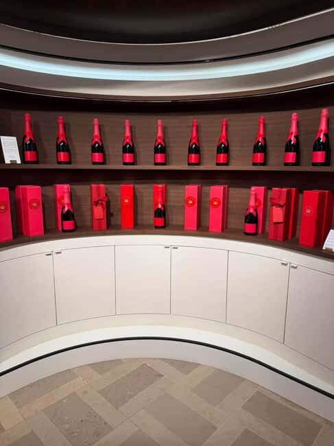 Reims: Day Trip from Paris with Champagne Tasting - Who Should Consider this Tour?