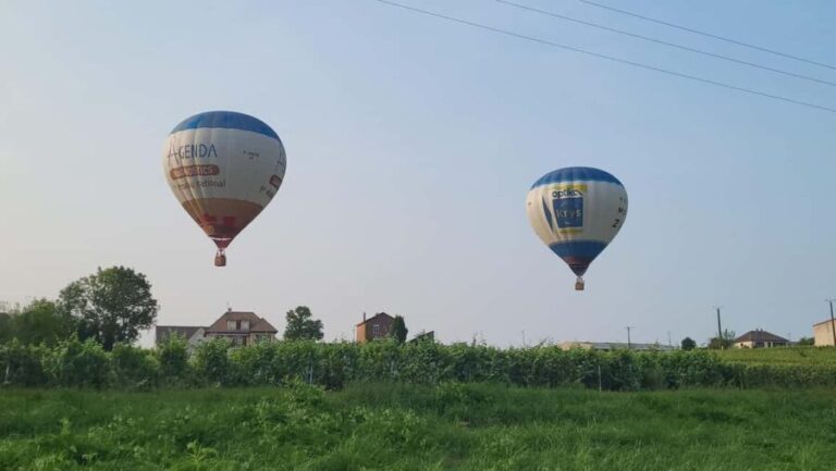 Reims (Pouillon) : Hot Air Balloon Flight with Champagne - Is It Worth the Price?