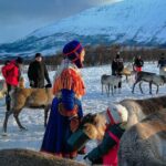 Reindeer feeding & Saami Culture - What Do Travelers Say?
