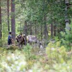 Reindeer Hike in Kuusamo nature - The Food and Farm Shop Visit