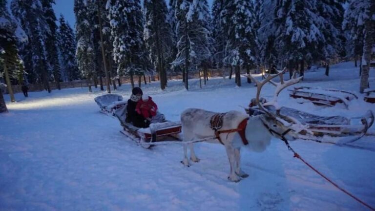 Reindeer Safari and Ice Fishing - FAQs