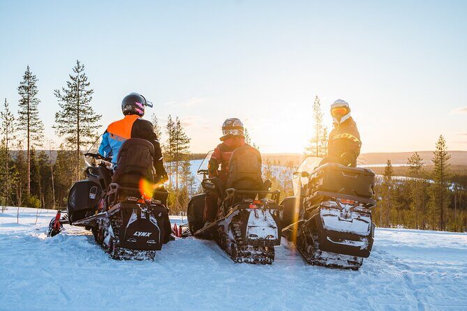 Reindeer Safari with Snowmobile and Cross The Arctic Circle Tour from Rovaniemi - The Practical Side: Weather, Price, and Value