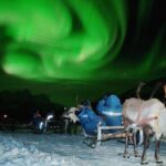Reindeer Sledding and Feeding with Chance of Northern Lights Tromso - Final Thoughts
