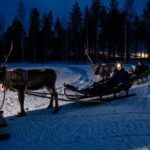 Reindeer sleigh ride across the night in Apukka Resort Rovaniemi - Learning About Reindeer and Sami Culture