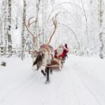 Reindeer Sleigh Ride and Farm Experience from Rovaniemi - The Experience: What Travelers Say