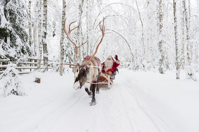 Reindeer Sleigh Ride and Farm Experience from Rovaniemi - The Experience: What Travelers Say
