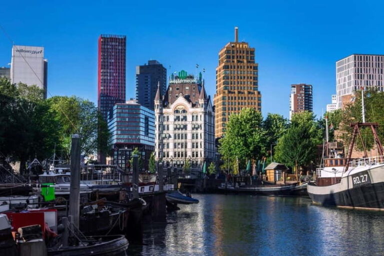 Rent a Kayak in Wijnhaven, Rotterdam - What to Expect on Your Paddle