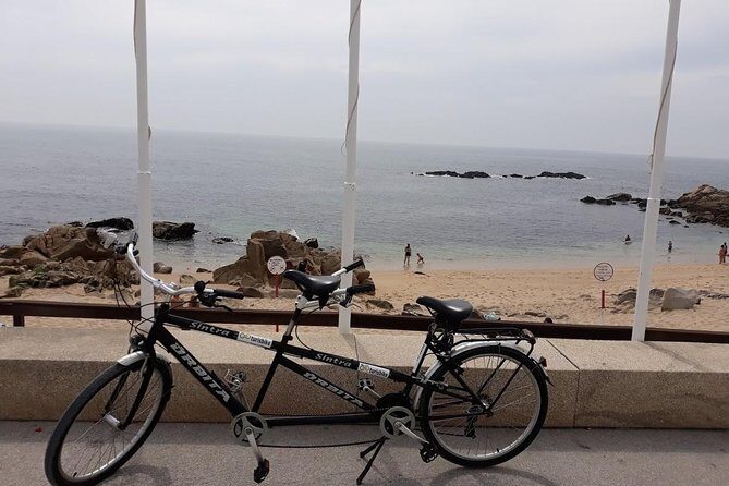 Rent a tandem bicycle - What to Expect from Your Bicycle Experience