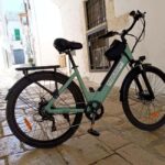 Rent an E-Bike and enjoy a stress-free vacation. - How the Rental Works