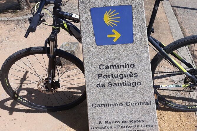 Rent mountain bike for bike path old railway to Famalicão - Authentic Experiences and Reviews