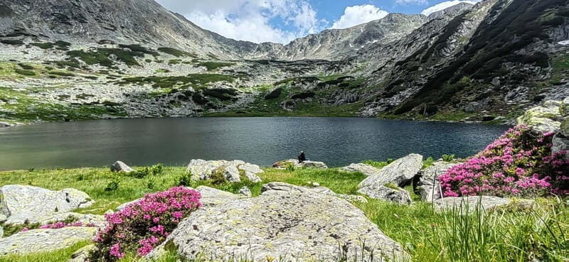 Retezat National Park: Full day hike from Cluj Napoca - The Experience in Detail: From Departure to Return
