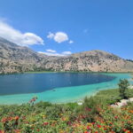 Rethymno half day wine tasting-olive oil factory-Kourna lake - A Detailed Look at the Tour Experience