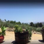 Rethymno: Private Winery & Olive Oil Tasting Tour with Lunch - Exploring the Tour: What You Can Expect