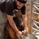 Rethymno: Shepherd For A Day - The Experience from the Perspective of Travelers