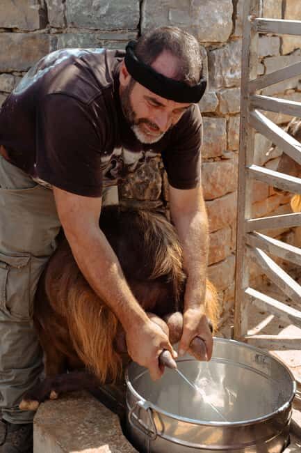 Rethymno: Shepherd For A Day - The Experience from the Perspective of Travelers