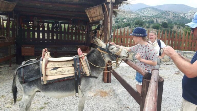 Rethymno:Mitato Shepherd Experience with Cretan Lunch & Raki - The Shepherds Mitato: A Living Heritage