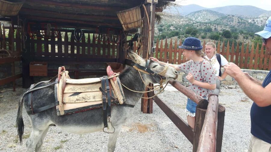 Rethymno:Mitato Shepherd Experience with Cretan Lunch & Raki - The Shepherds Mitato: A Living Heritage