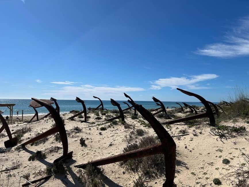 Return bike tour from Tavira to Olhão - Why We Think This Tour Works