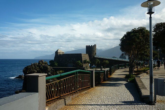 Return to Madeira Island in 2 days - The Authentic Feedback from Past Travelers