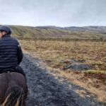 Reykjadalur: Horseback Riding Tour for Families & Beginners - What Makes this Experience Special