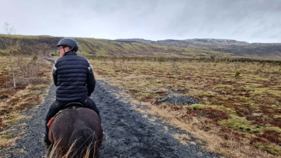 Reykjadalur: Horseback Riding Tour for Families & Beginners - What Makes this Experience Special