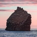 Reykjanes Peninsula Private tour Iceland - Authentic Experiences and Insights from Reviews