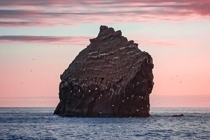 Reykjanes Peninsula Private tour Iceland - Authentic Experiences and Insights from Reviews