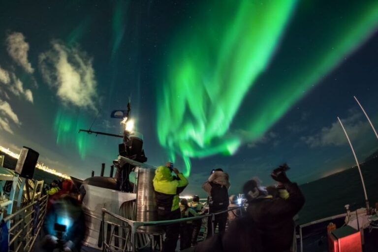 Reykjavik: 2-Hour Northern Lights by Boat with Backup Plan - The Experience: What You’ll Likely Love