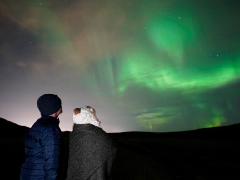 Reykjavik: Aurora Minibus w/ Pro Photos & Free Retry - The Itinerary and Stops