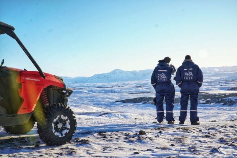 Reykjavik: Buggy Safari Tour with Hotel Transfers - The Highlights: Why You Might Love This Tour