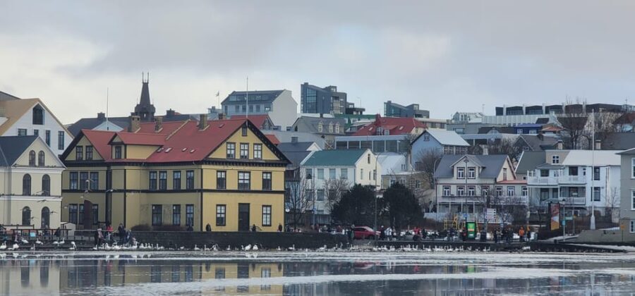 Reykjavik City private tour: Hallgrímskirkja, Perlan & More! - The Experience: What Youll Love
