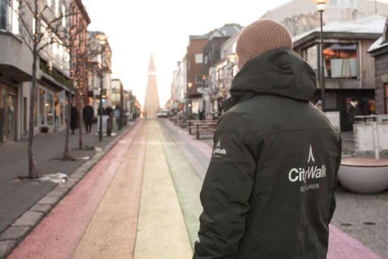 Reykjavik: City Walking tour in Small Group with Local Guide - What makes this tour stand out?