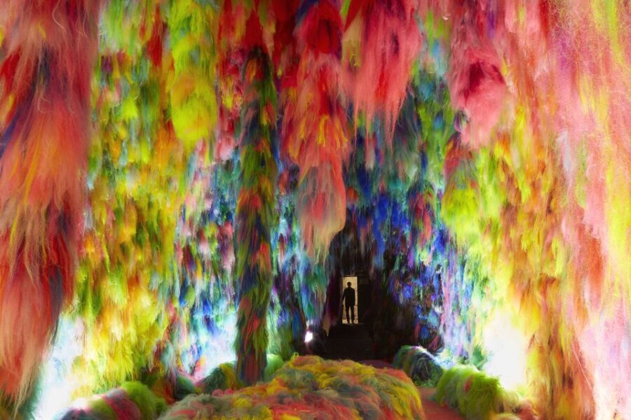 Reykjavík: Multi-Sensory Art Installation Chromo Sapiens - The Experience in Detail