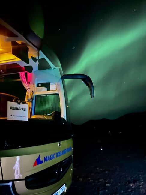 Reykjavik: Northern Lights Comfort Coach with Local Gift - The Itinerary – What You Can Expect
