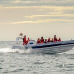 Reykjavik: Premium Whale and Puffin Watching Evening Tour - Is It Worth the Price?